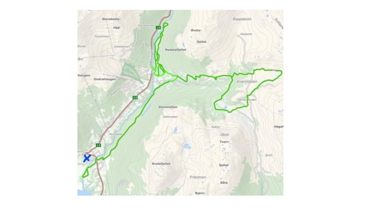 Oversikt langrennsløyper. 300 meter fra leiligheten i gåavstand Galleribilde