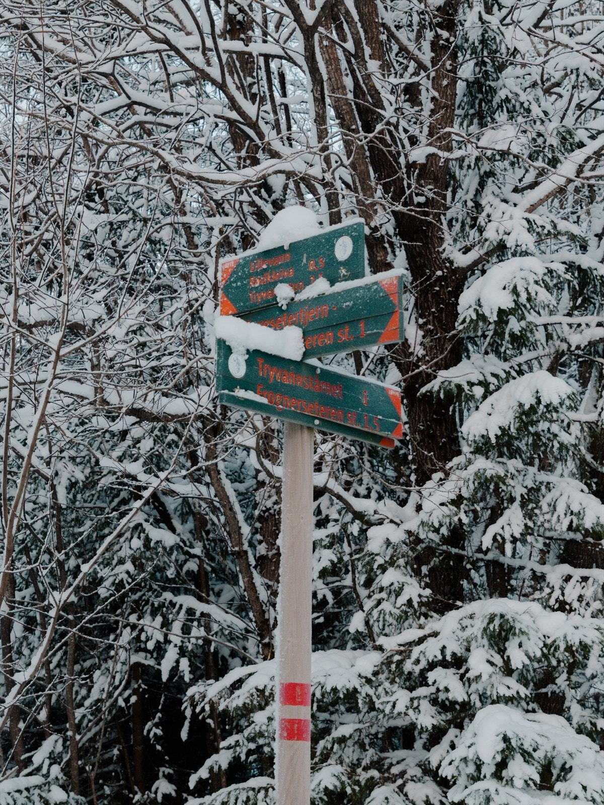 Området er et eldorado for deg som ønsker et aktivt friluftsliv. Her har du direkte tilgang til et av Nordmarkas flotteste områder, med et vidstrakt nettverk av skogstier, sykkelruter og skiløyper Galleribilde