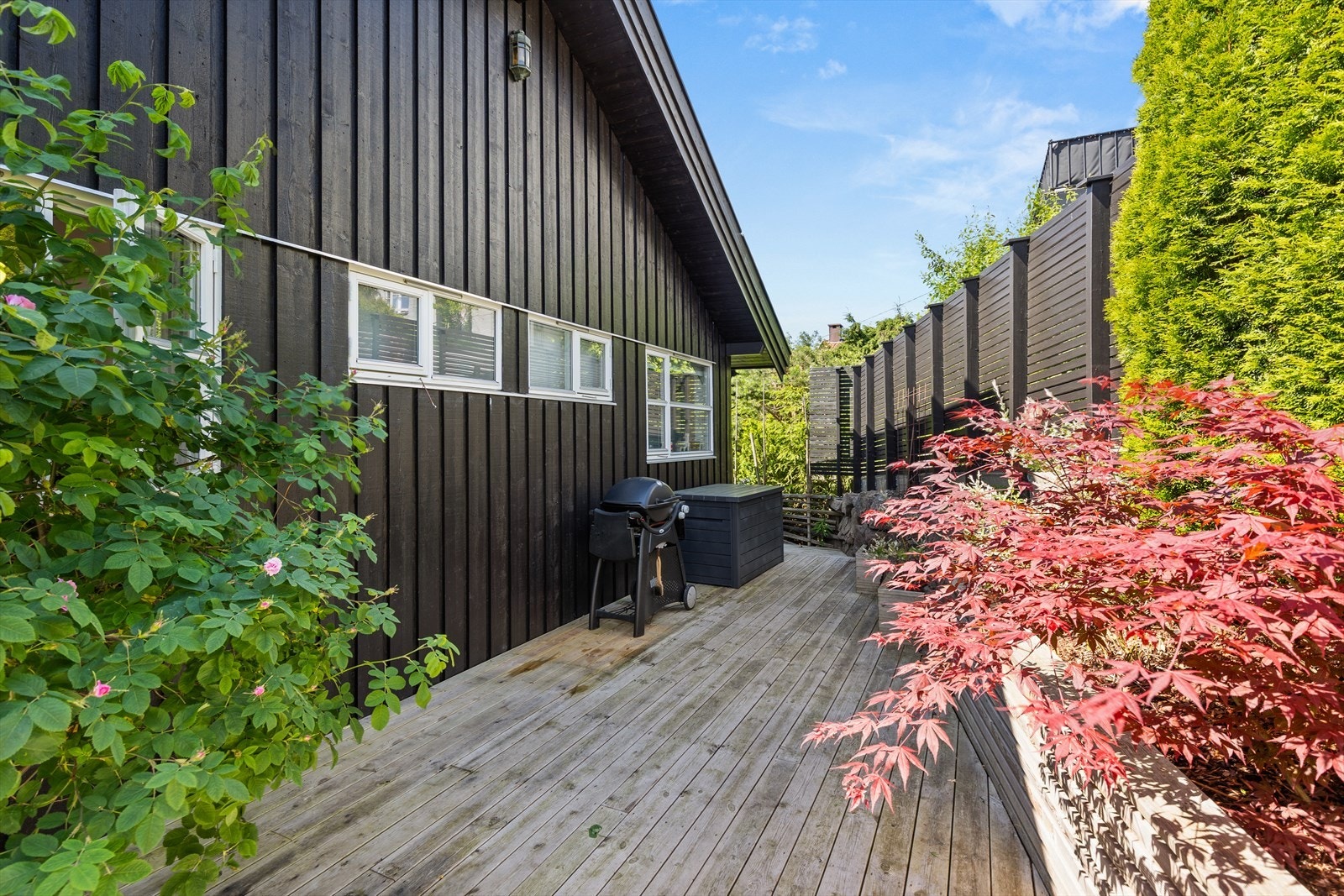 Skjermet og lun terrasse mot nord med frodig beplantning Galleribilde