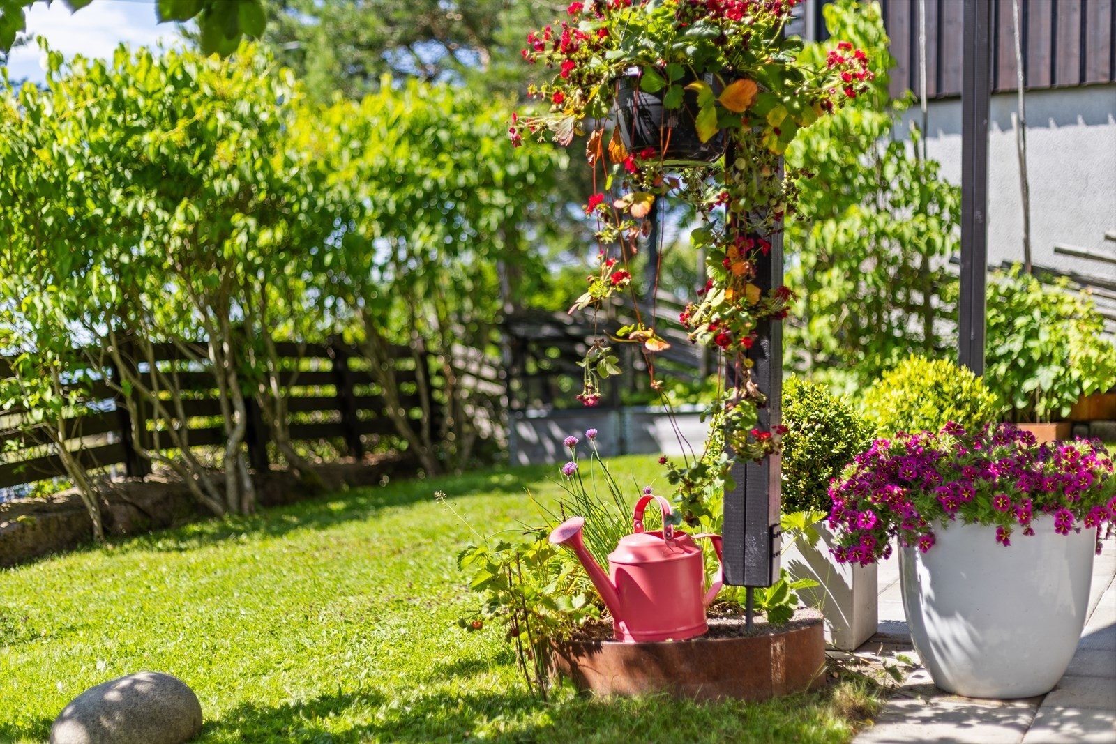 Hagen er inngjerdet, samt pent opparbeidet med gressplen, blomsterbed, prydbusker og plantekasser Galleribilde