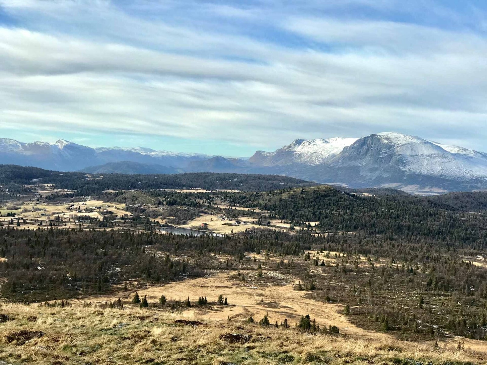 Flott naturlandskap Galleribilde