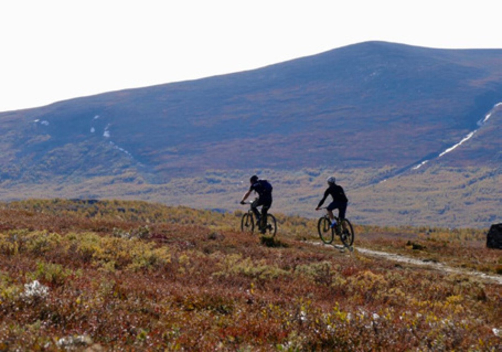 Det satses bl.a stort på
bærekraftige tur-og
sykkelstier på Golsfjellet og
generelt i Hallingdal. Galleribilde