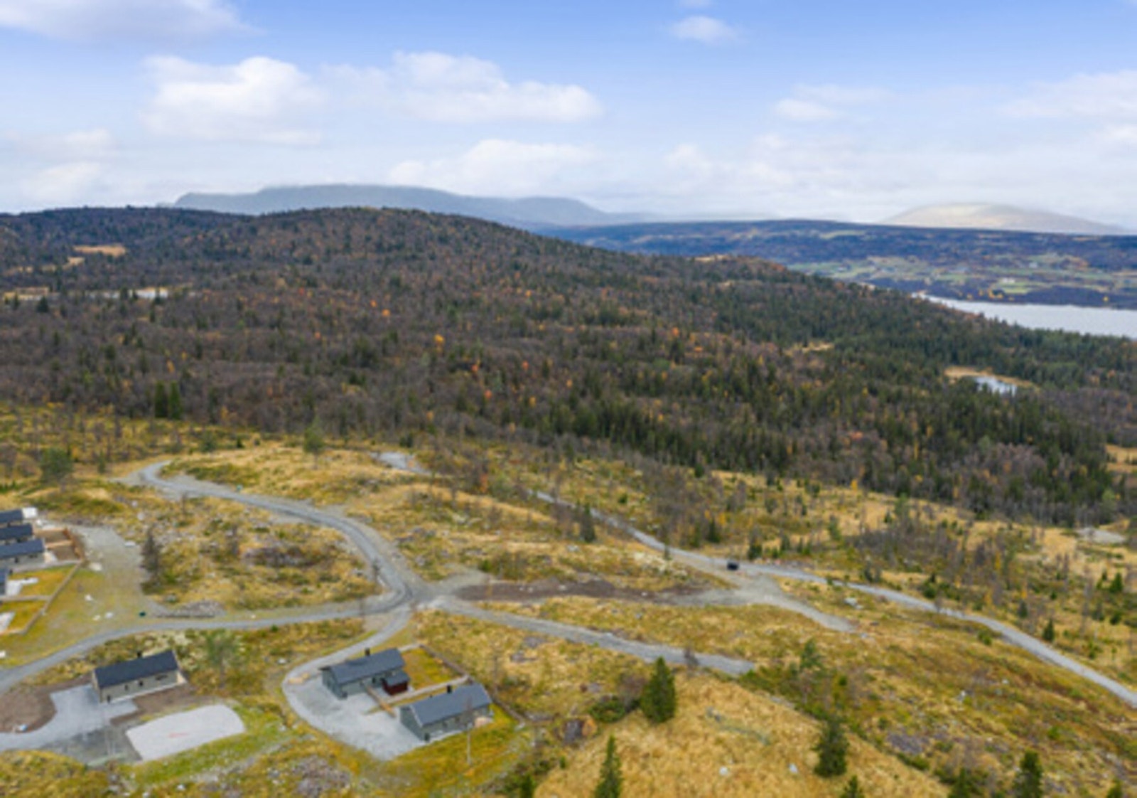Høstbilde fra feltet Galleribilde