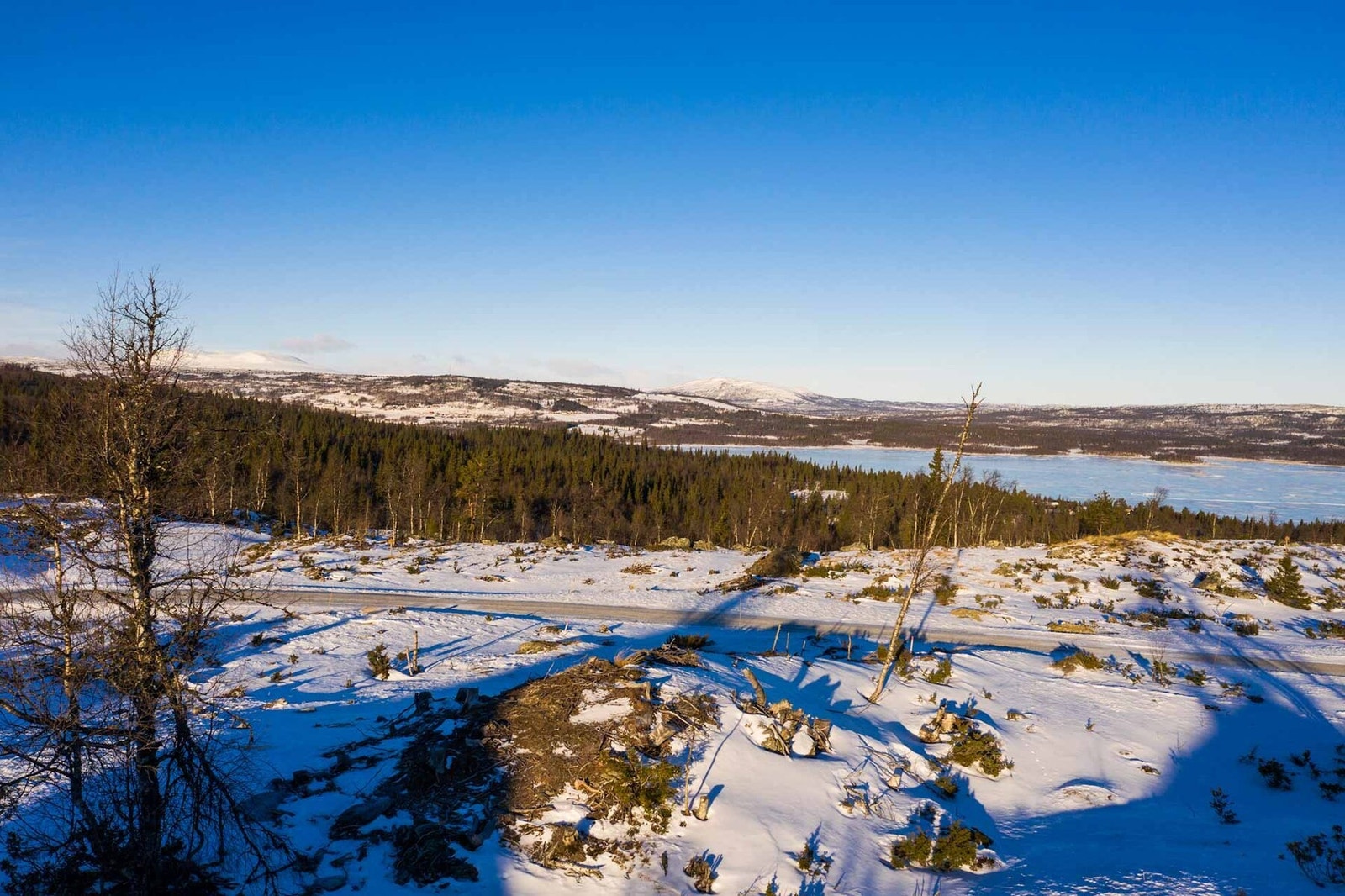 Foto fra tomtene Galleribilde