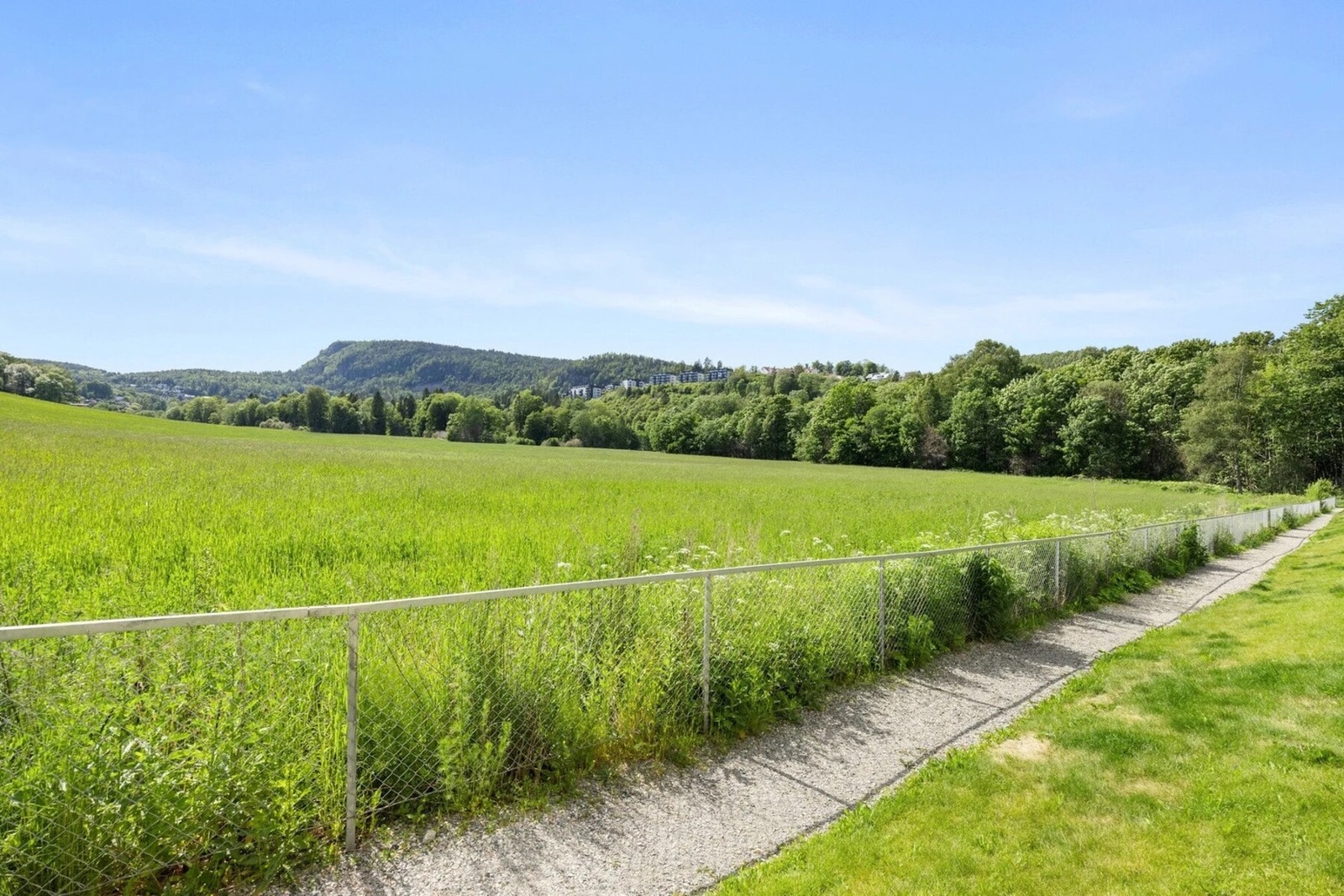 Det er fine turstier og skiløyper fra feltet og videre innover i Vestmarka Galleribilde
