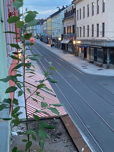 Nærområdet Galleribilde