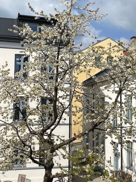 Nærområdet Galleribilde