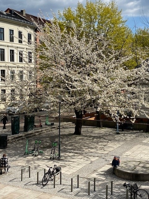 Nærområdet Galleribilde