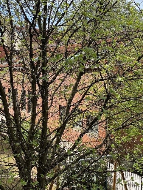 Nærområdet Galleribilde