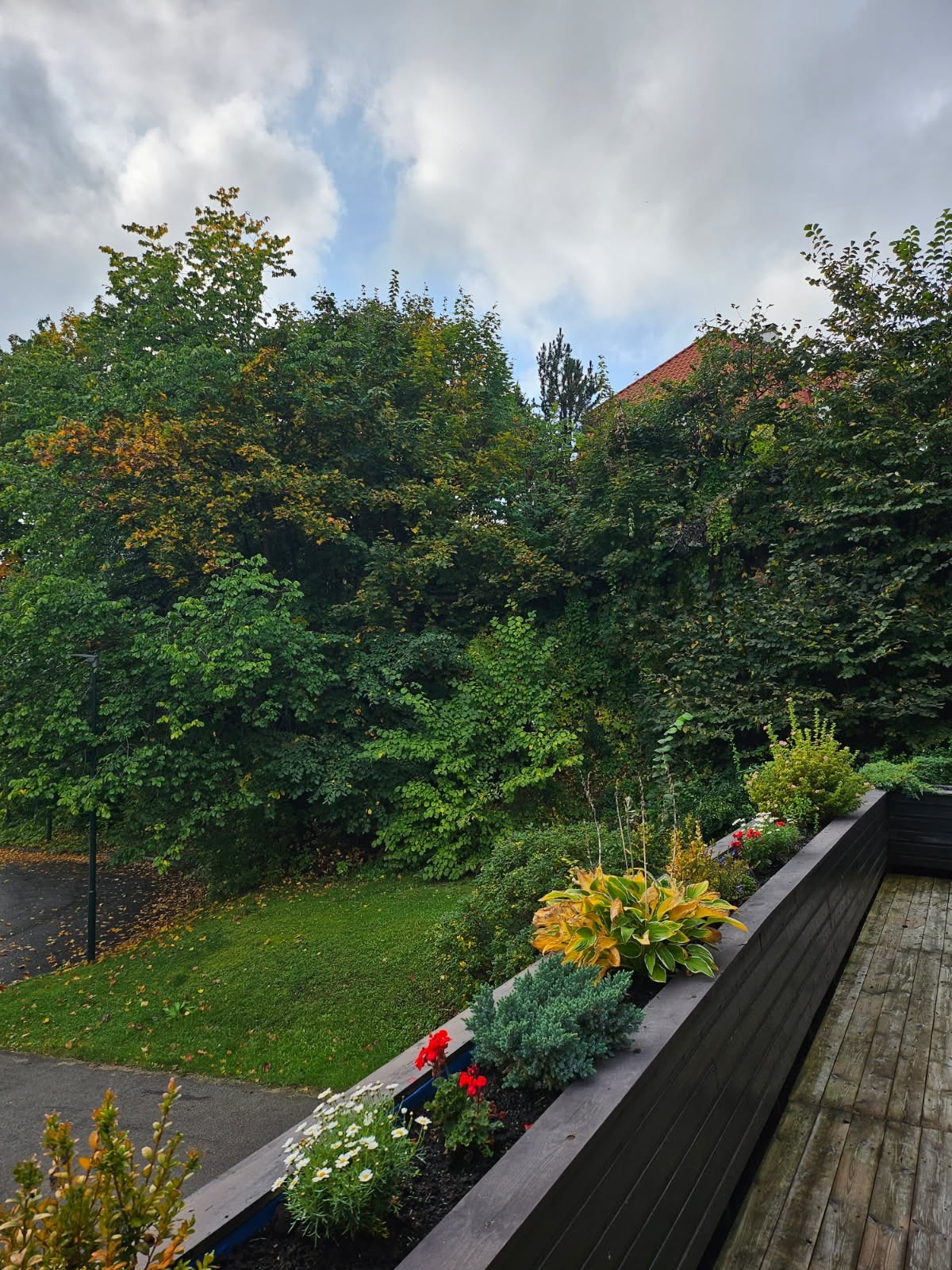 Det blir særdeles grønt og frodig her om sommeren. Galleribilde