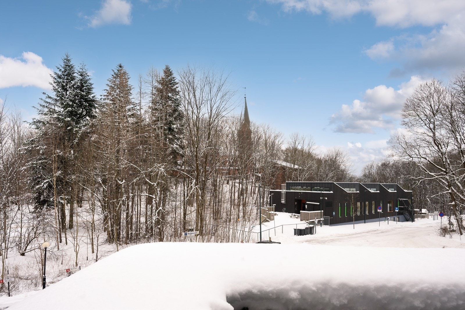 Terrassen vender ut mot friområde, som om sommeren er svært frodig Galleribilde