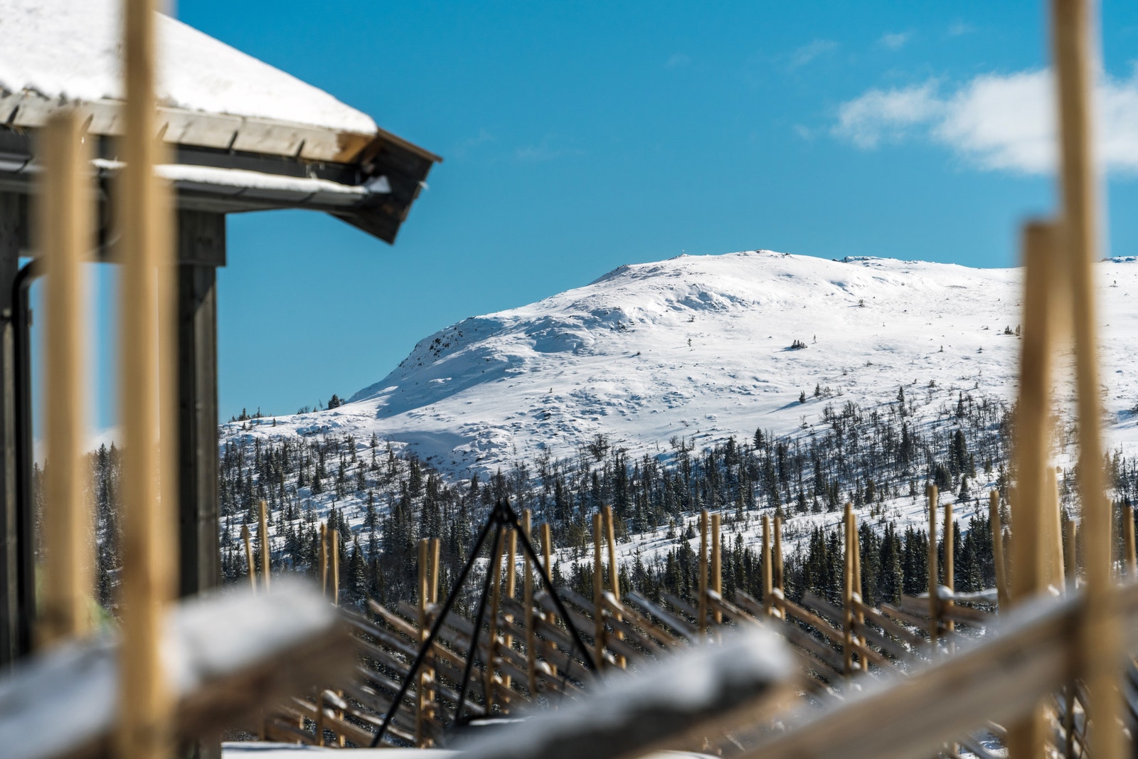 Utsikt fra feltet Galleribilde