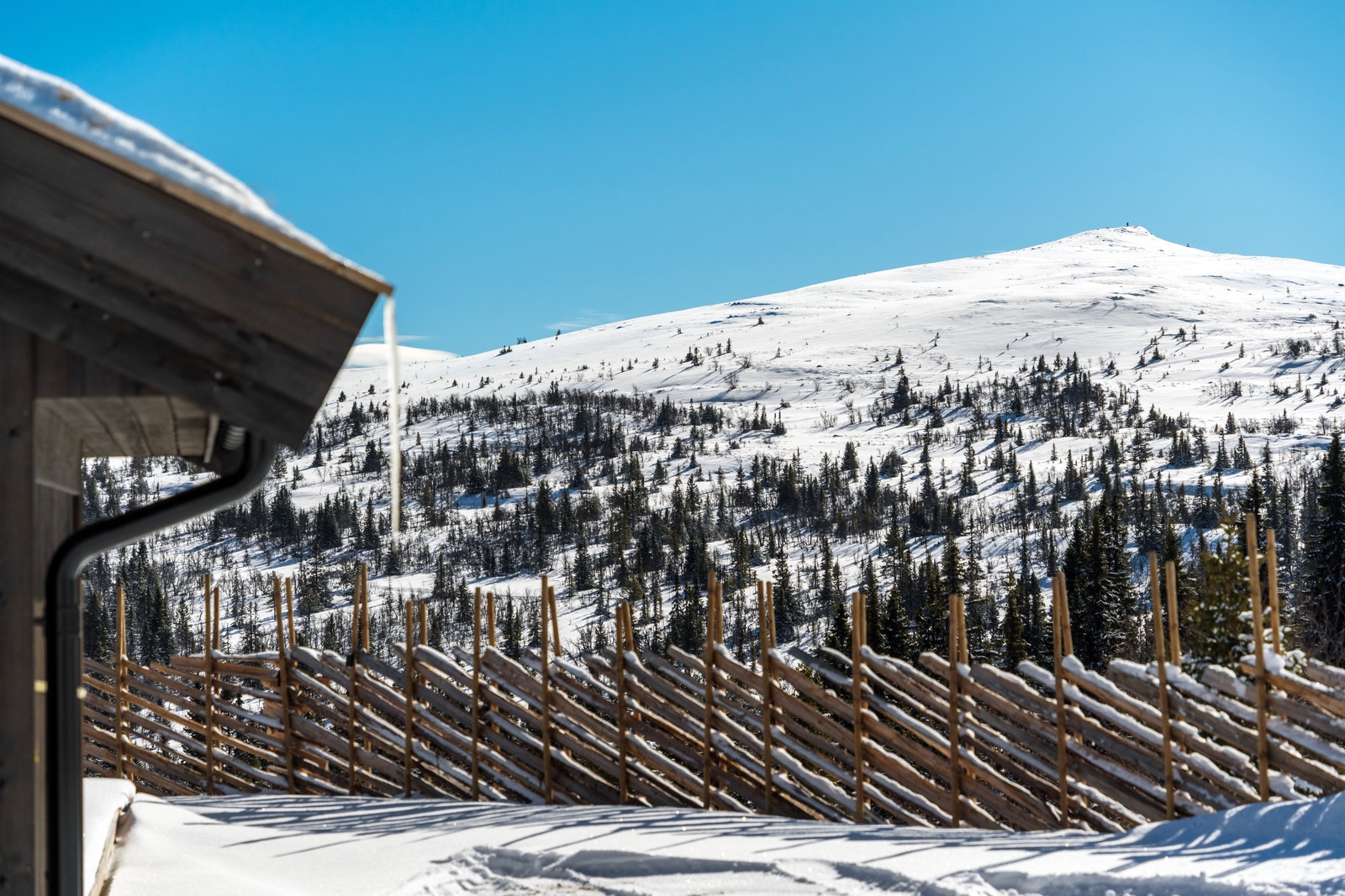 Utsikt fra feltet Galleribilde