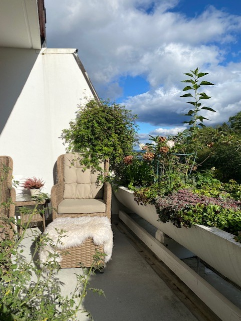 Høststemning Galleribilde