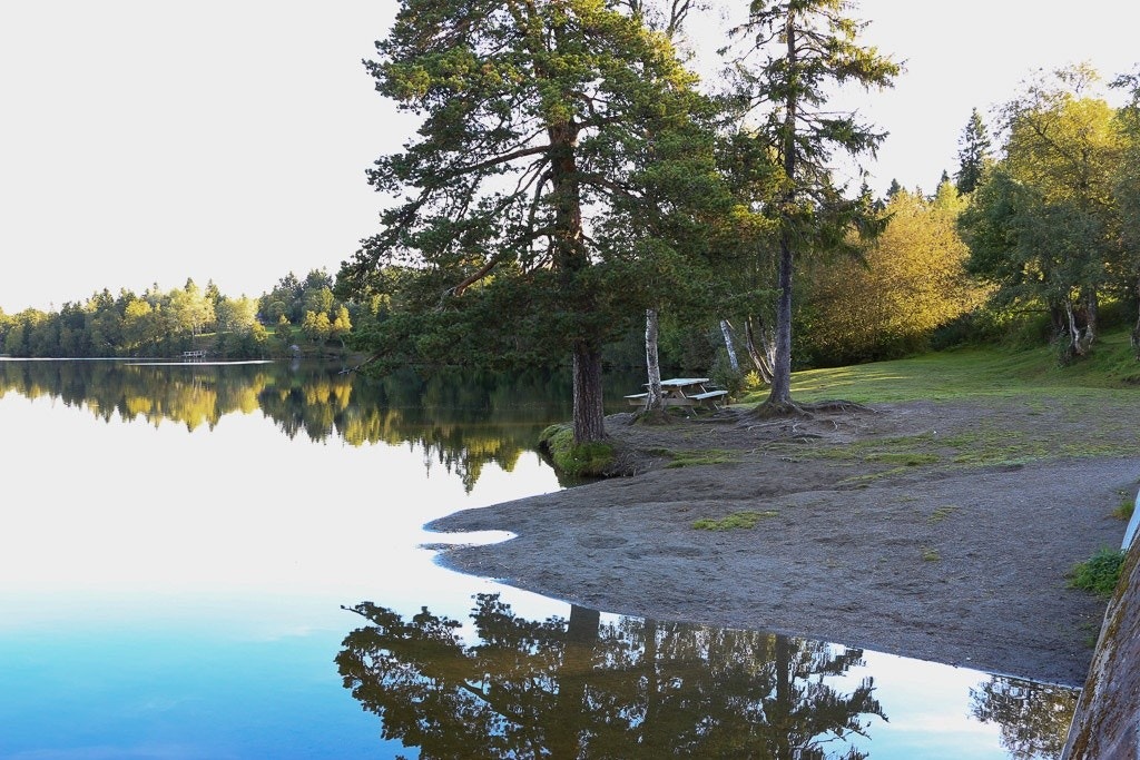 Kyvannet Galleribilde