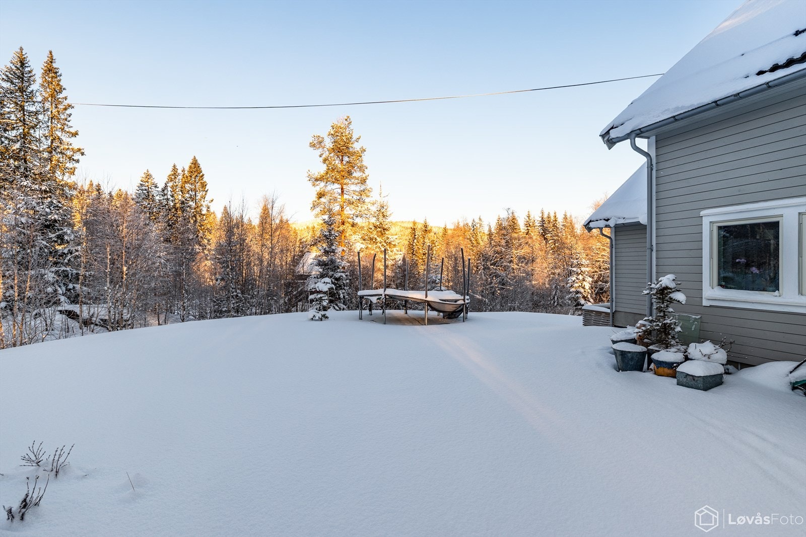 Stor tomt på over 4 mål Galleribilde