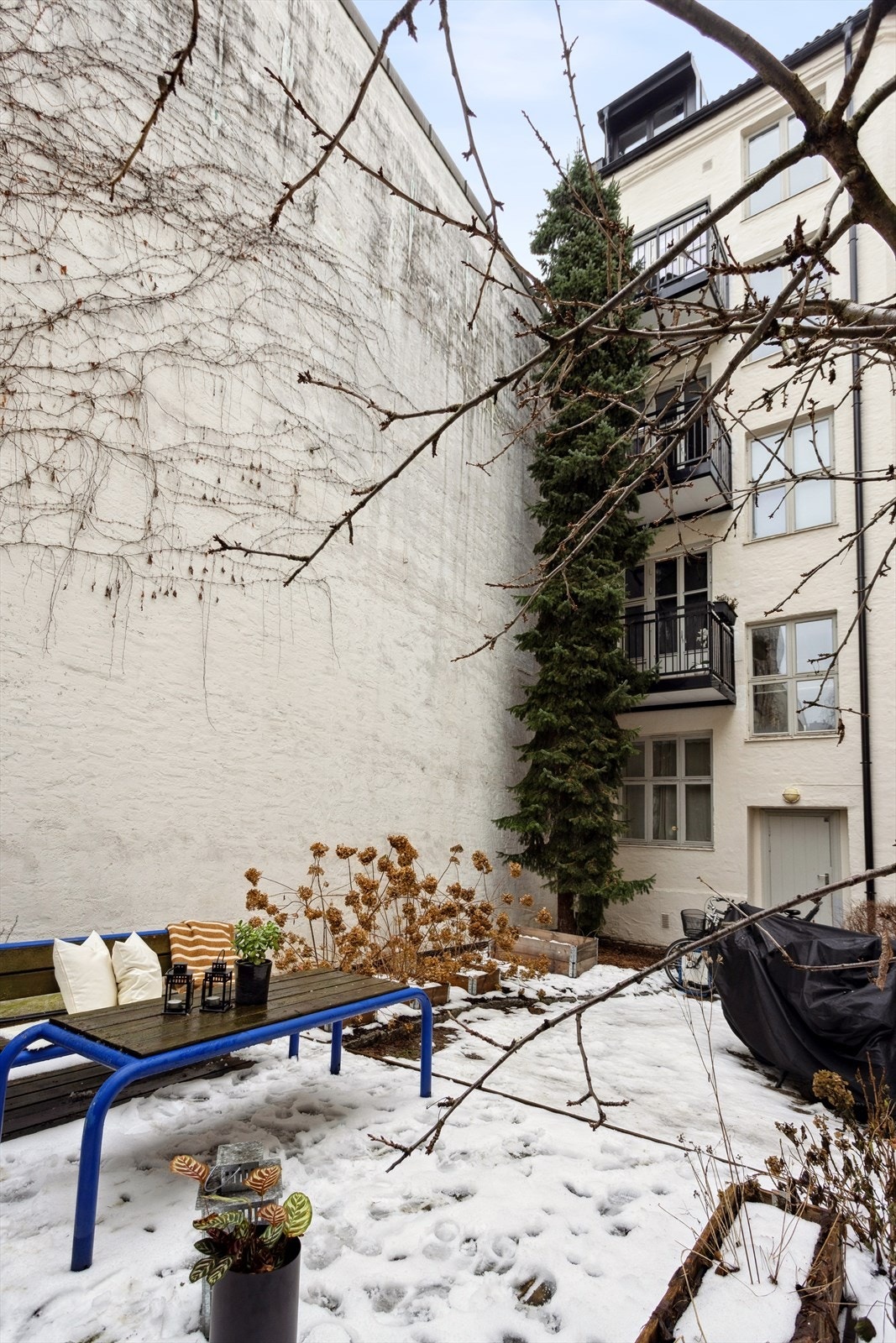 Hyggelig bakgård med sittegrupper og diverse beplantning. Galleribilde