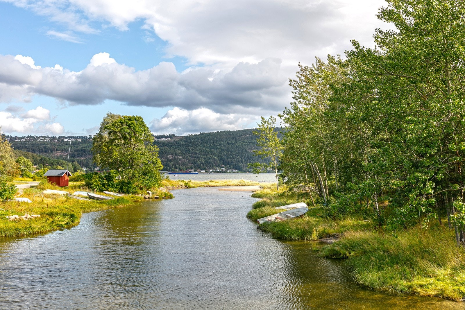 Nærområdet. Galleribilde