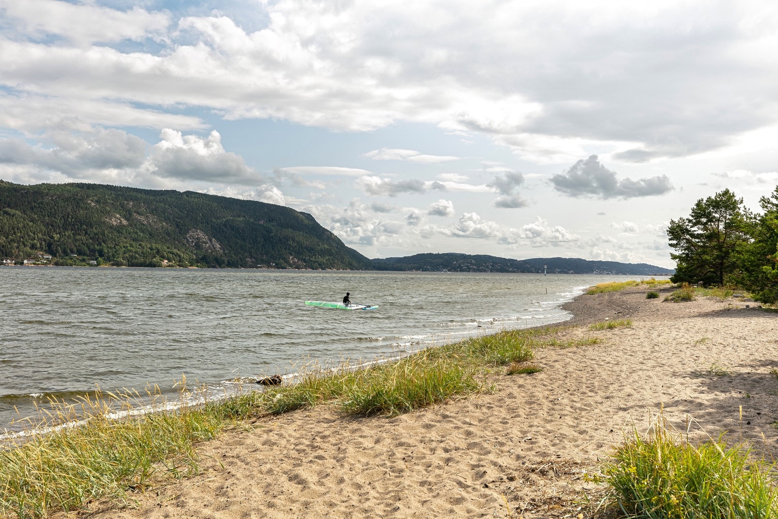 Nærområdet. Galleribilde