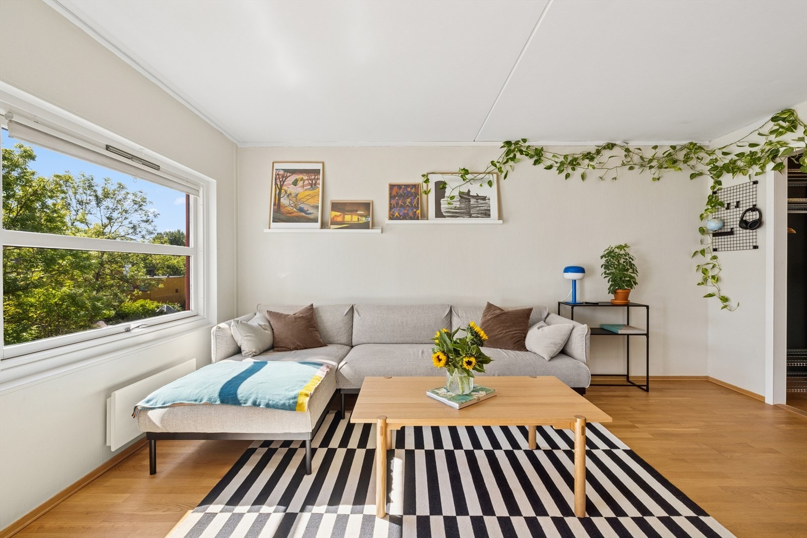 De store vindusflatene slipper inn rikelig med naturlig lys, som gir en god atmosfære i leiligheten Galleribilde