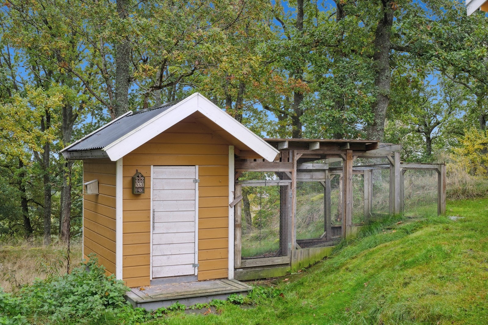 Høne/hundehus. Galleribilde