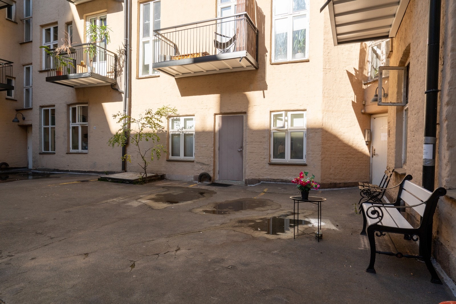 Bakgård Galleribilde