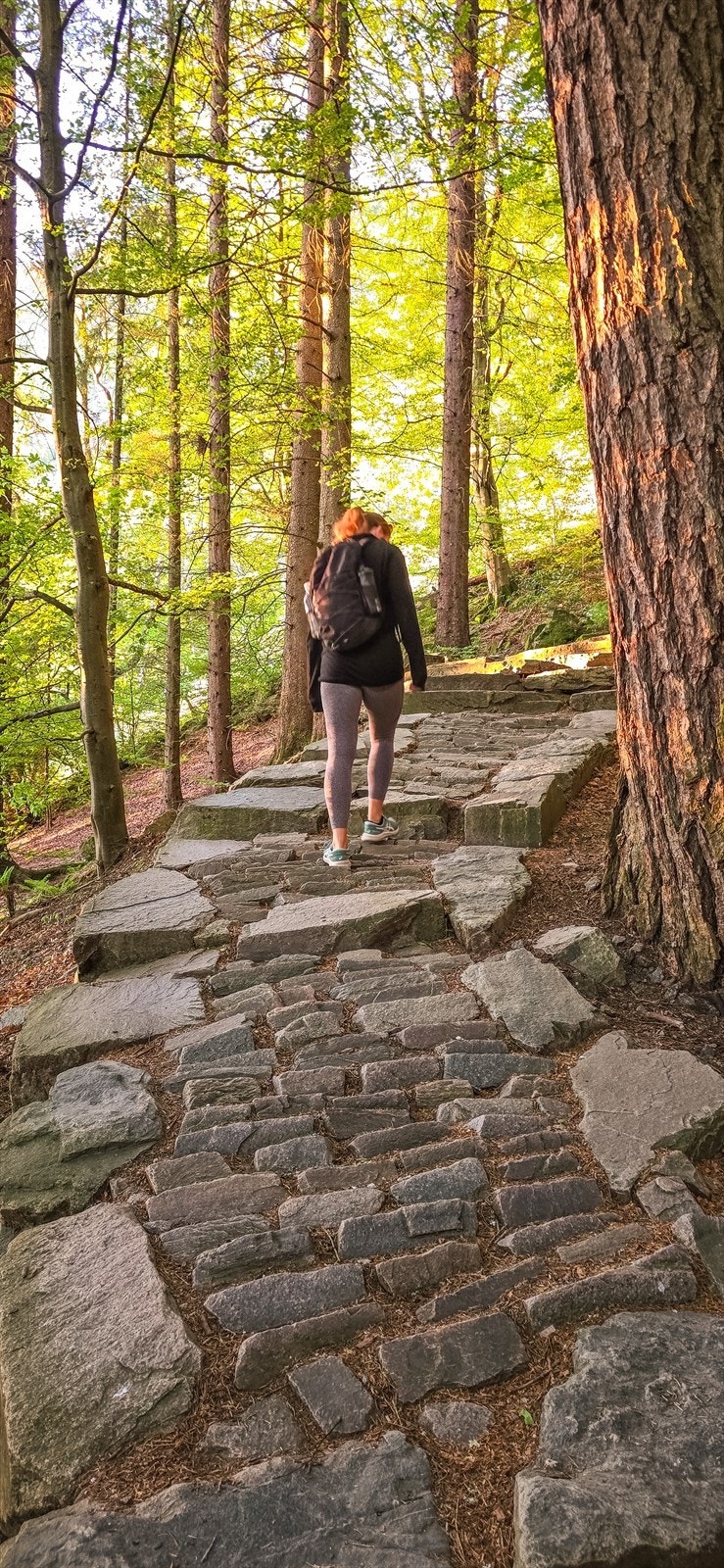 Skulle man ønske luft under vingene kan man bestige Stoltzekleiven, Sandviksbatteriet, Sandvikshytten og Fløyen. Galleribilde