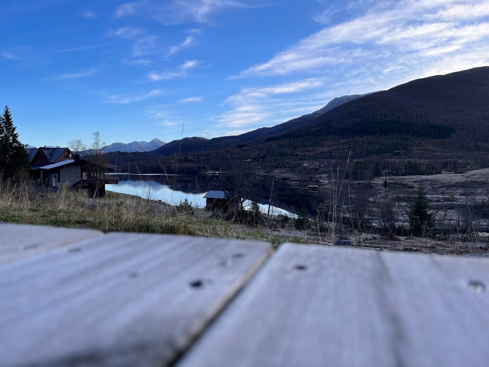 Bilde fra selger. Galleribilde