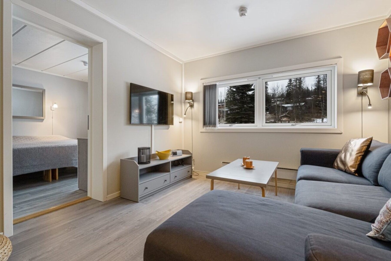 God plass til TV og sittegruppe. Galleribilde