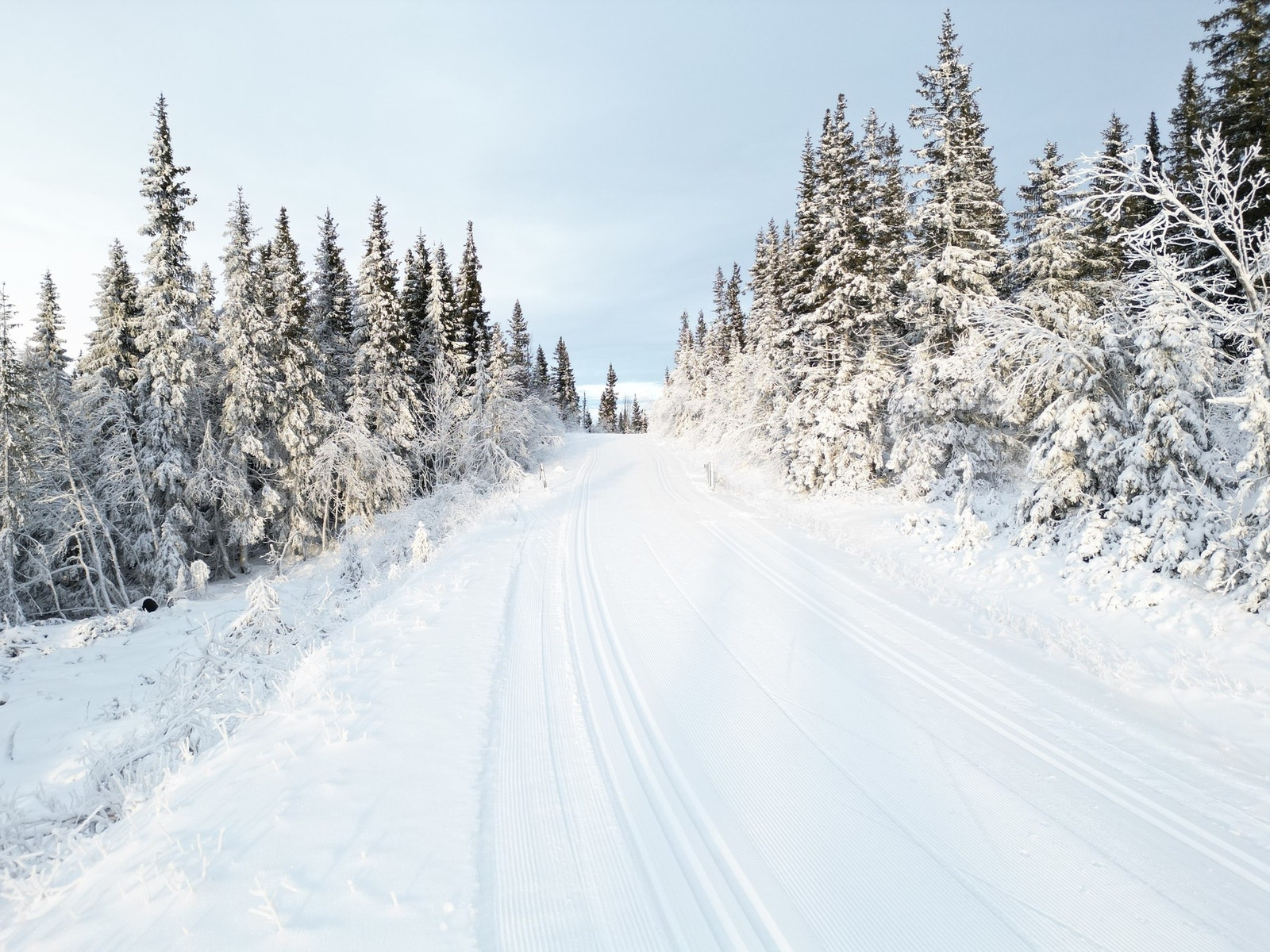 Dette er rett utenfor hotellet, her kan du nyte 32 mil med løyper i fjellet. Galleribilde