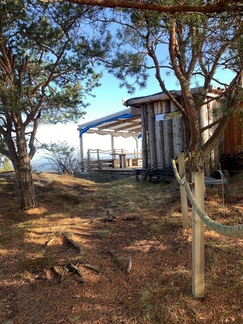 Uteområdet Galleribilde