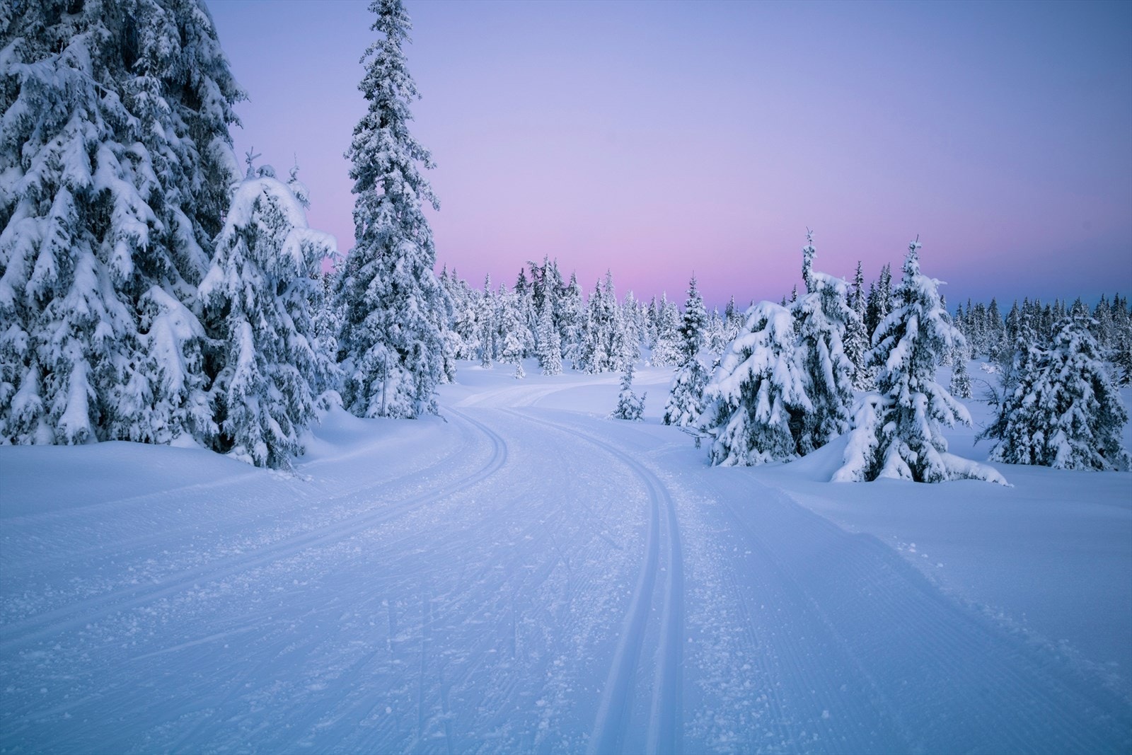 Nærhet til flotte skiløyper i Estenstadmarka Galleribilde