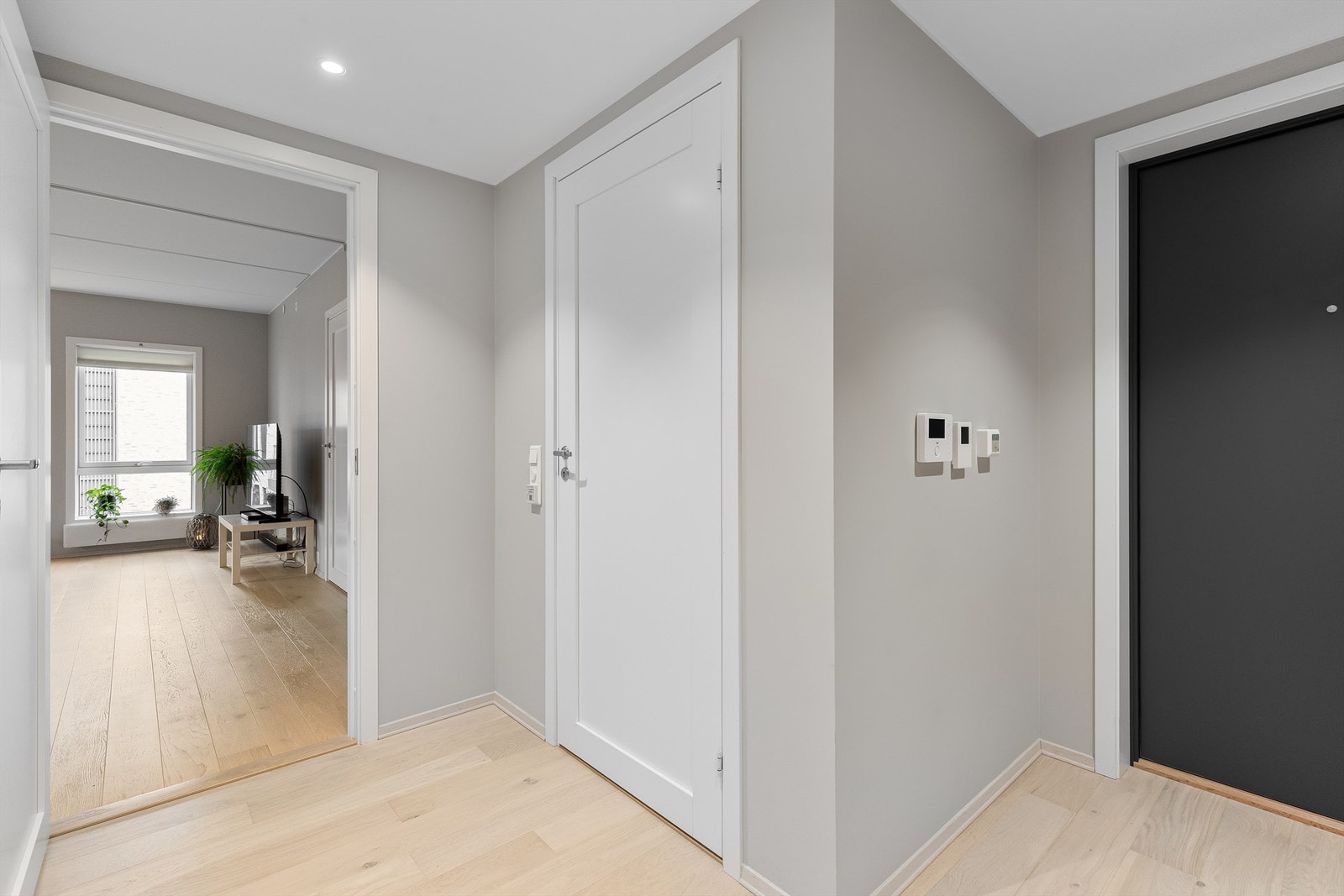 Gang mot stue Galleribilde