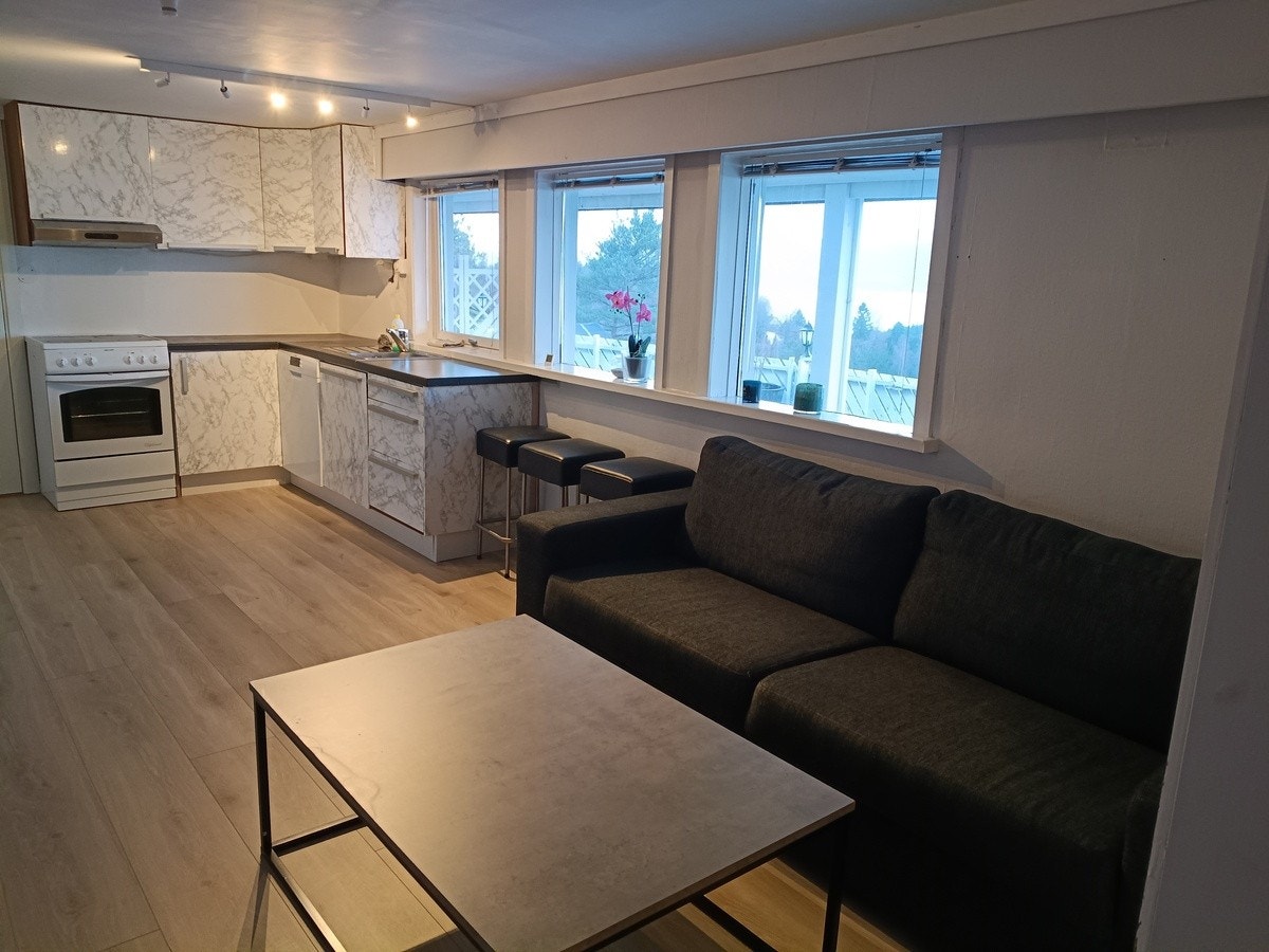 Koselig stue foran peis Galleribilde