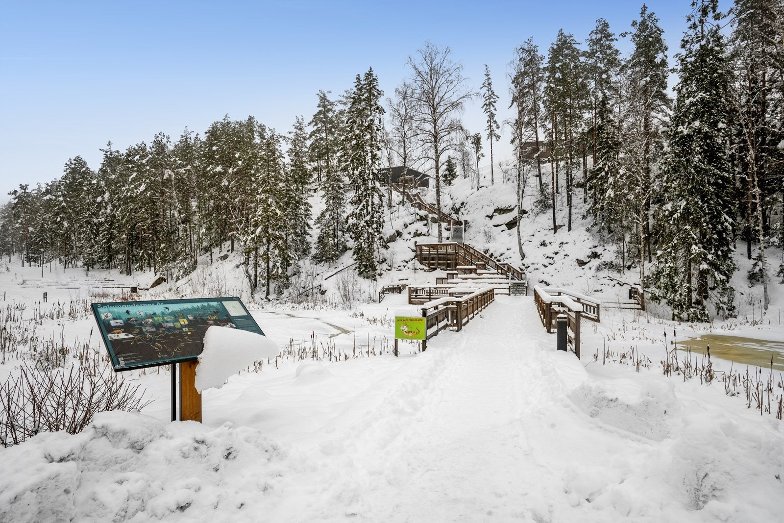 Salamanderdammen - et idyllisk område som gir nærhet til naturen. Galleribilde