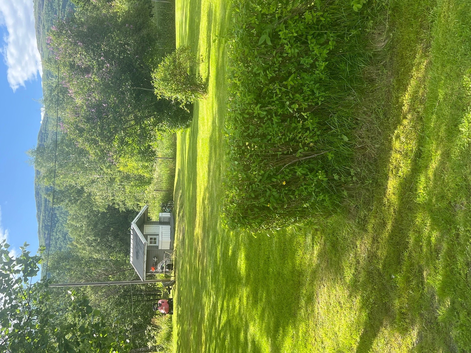 Bilde fra eier Galleribilde