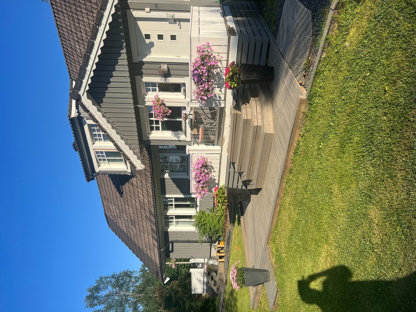 Bilde fra eier Galleribilde