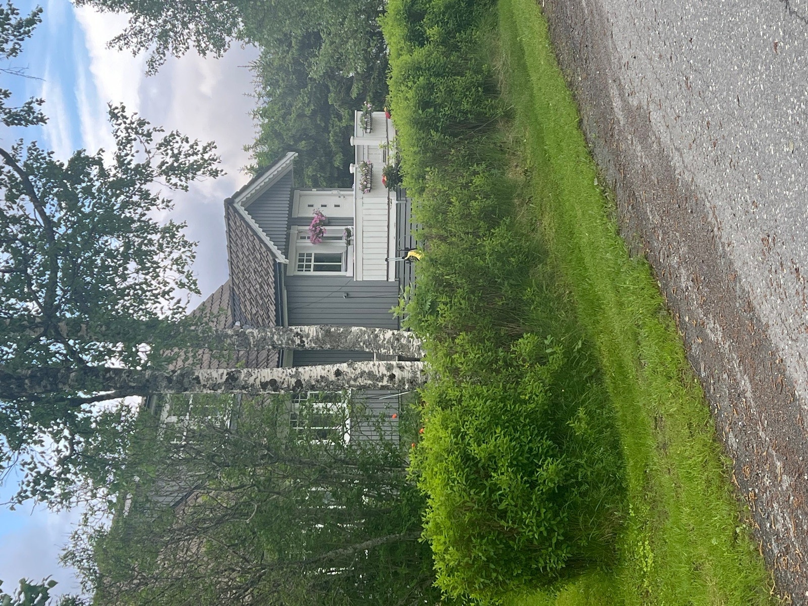 Bilde fra eier Galleribilde