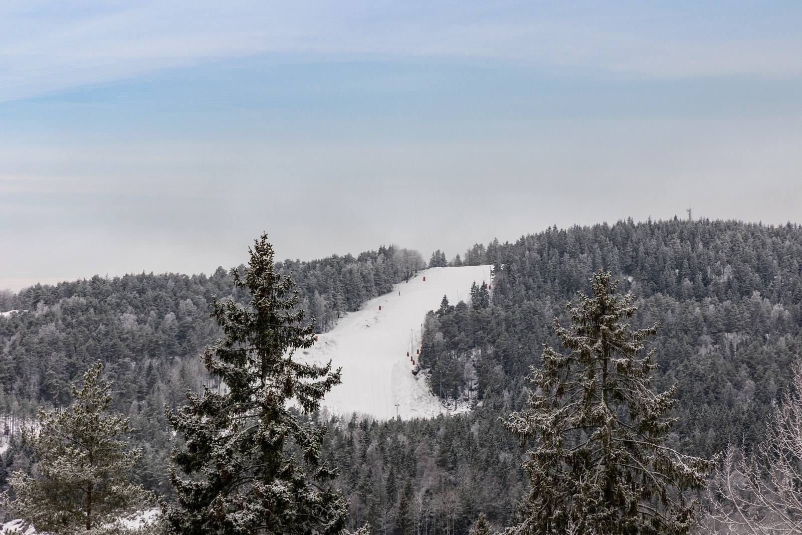Utsikt mot Grefsenkleiva Galleribilde