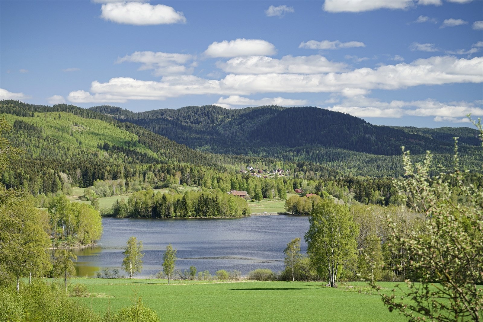 Maridalsvannet ved inngangen til Nordmarka Galleribilde