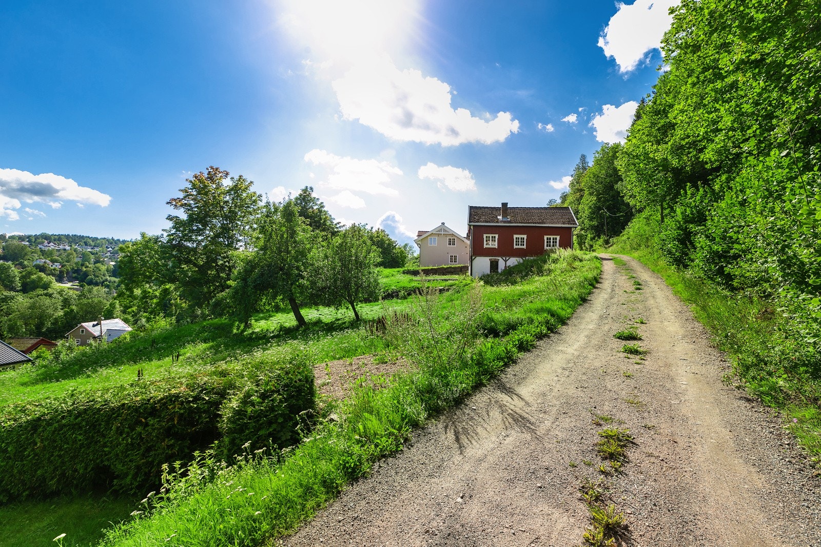 Tomten sett fra Jonslia Galleribilde