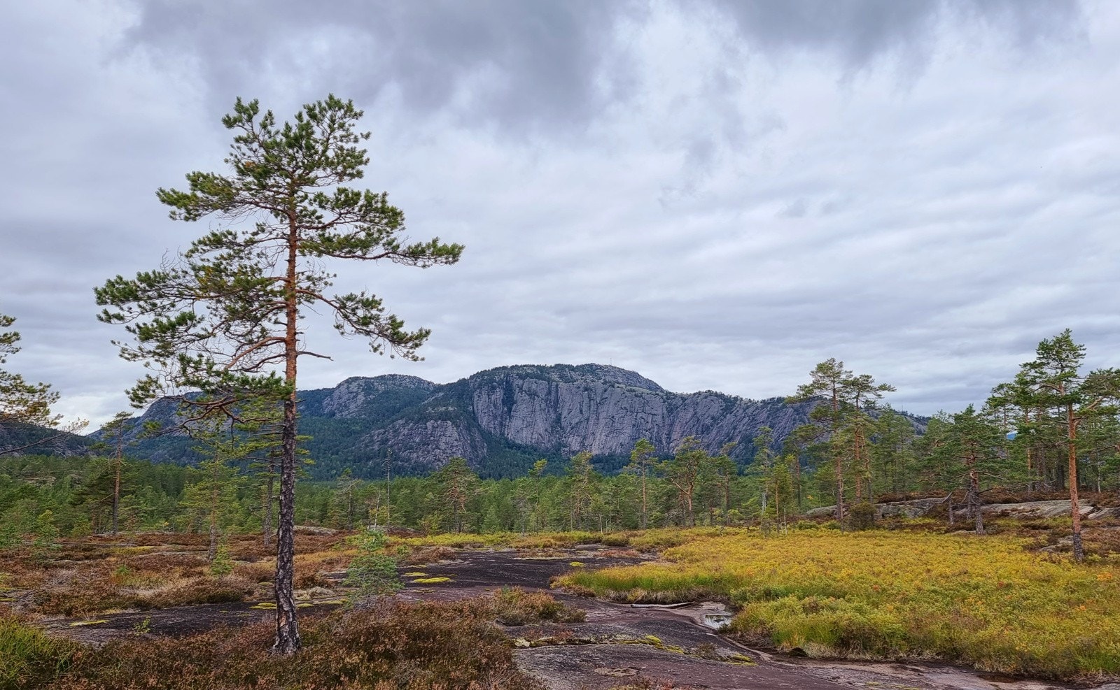 Skuggenatten sett fra Solheia Galleribilde