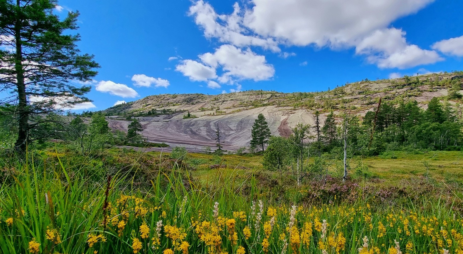 Himmelriket Gautefall Galleribilde