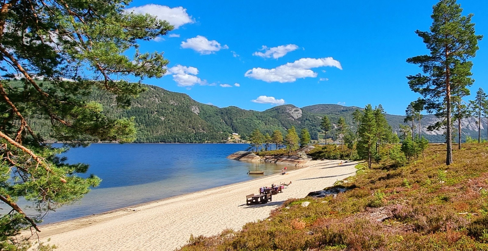 Fin strand på vestsiden av Nisser / Fjone Galleribilde
