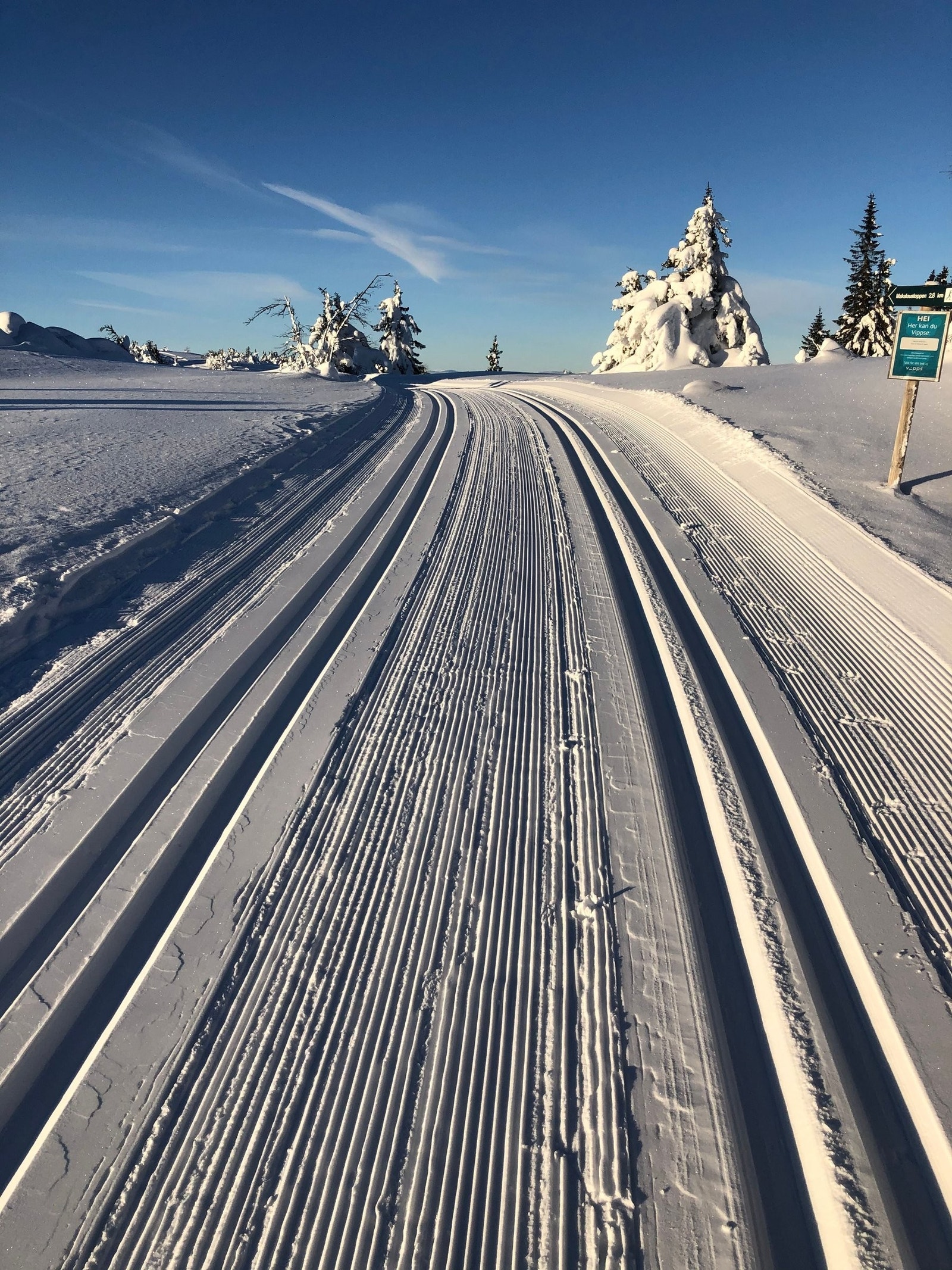 Flotte løyper Galleribilde