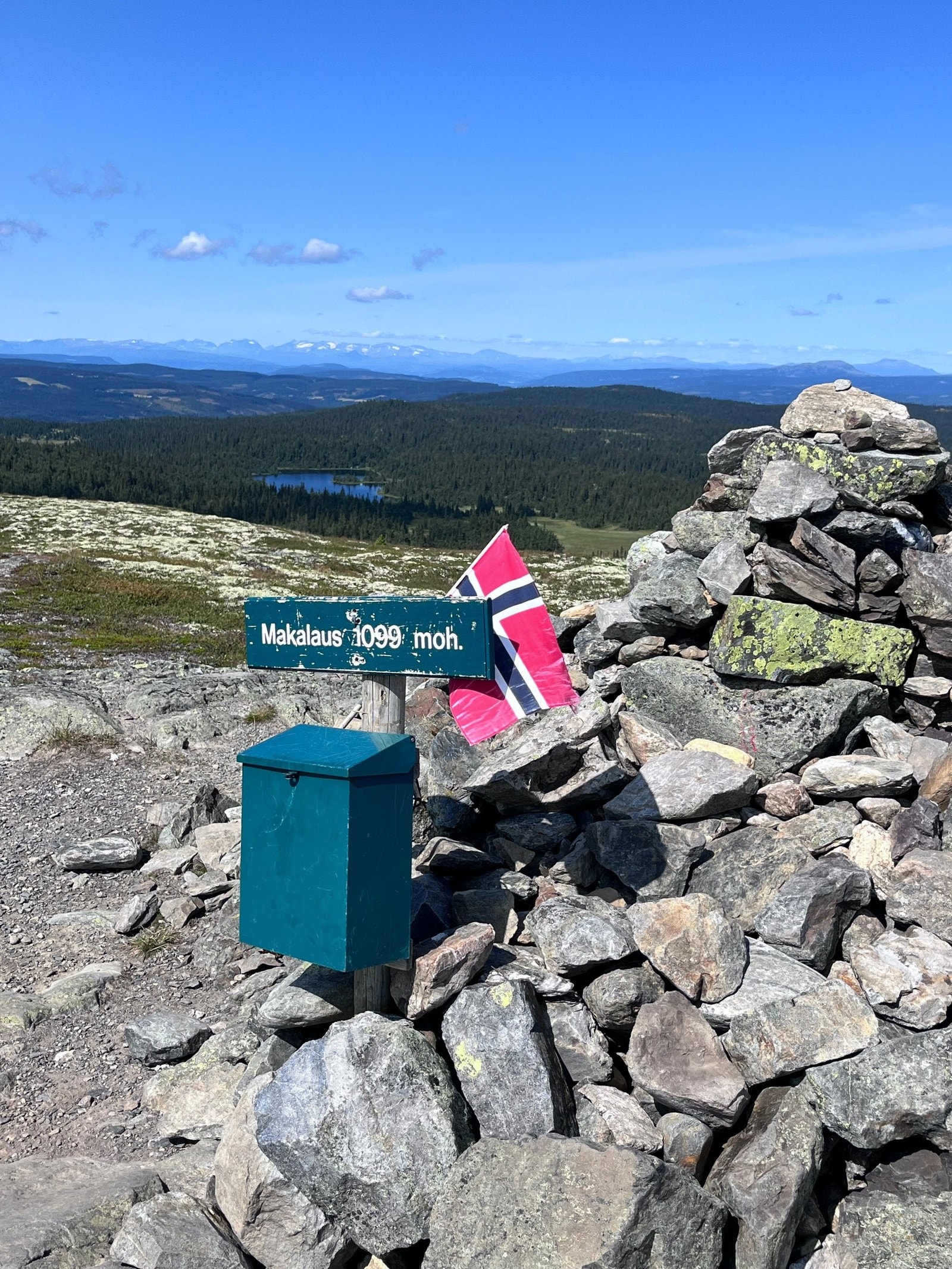 Makalaustoppen Galleribilde