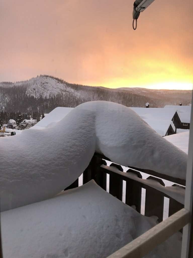 Siste solstrålene Galleribilde