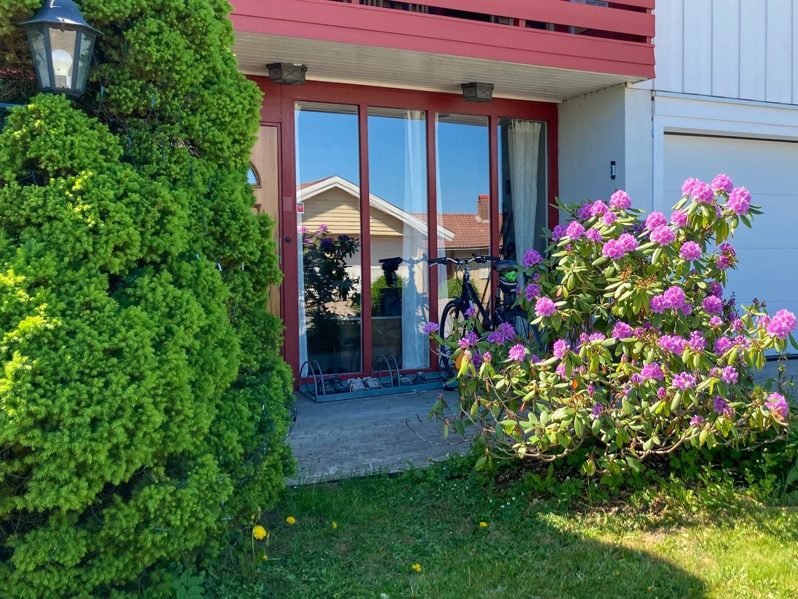 Hagen i sommerstemning Galleribilde