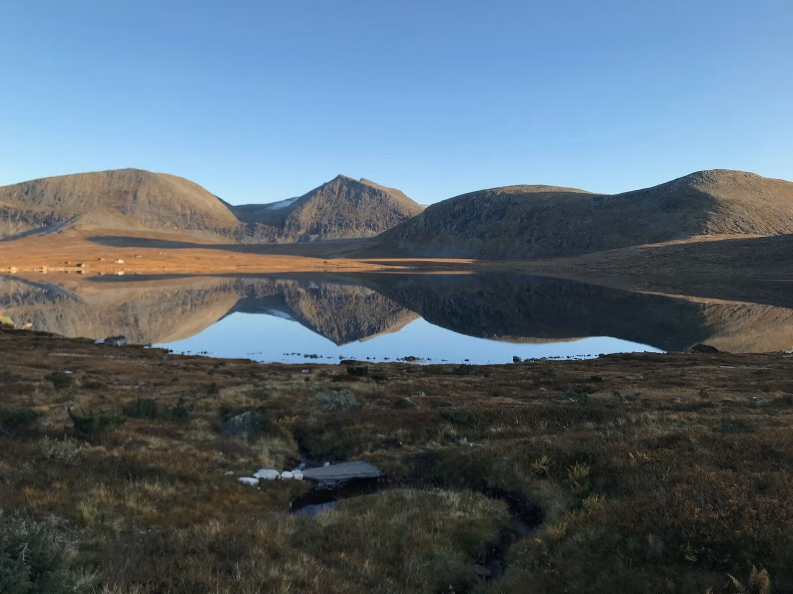 Høststemning med kveldssol der tomtene ligger Galleribilde