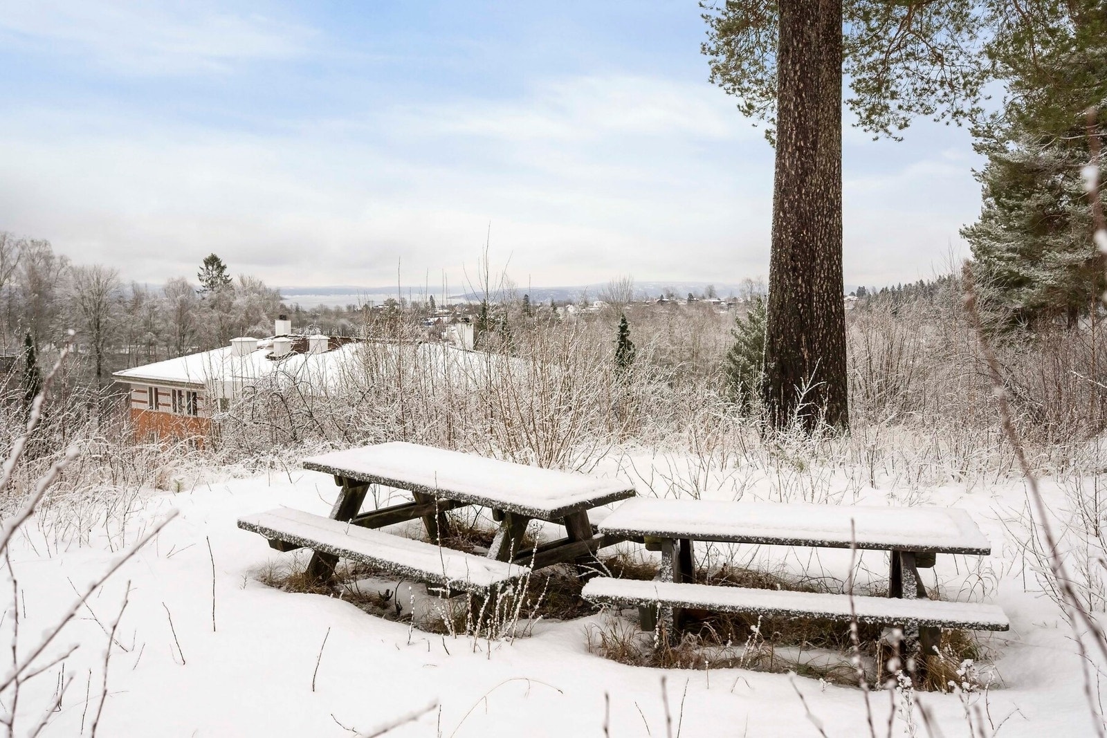 Tomten er pent opparbeidet med plen, busker, trær og sitteplasser. Galleribilde